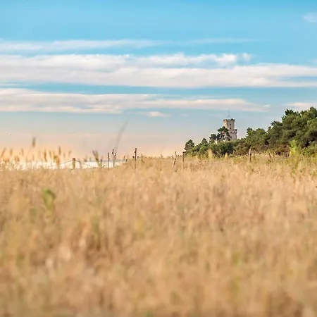 Palazzo Del Mare Int3 Silvi *